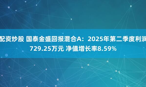 配资炒股 国泰金盛回报混合A：2025年第二季度利润729.25万元 净值增长率8.59%